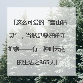 这么可爱的“雪山精灵”，当然是要好好守护啦——有一种叫云南的生活之365天