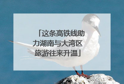 这条高铁线助力湖南与大湾区旅游往来升温