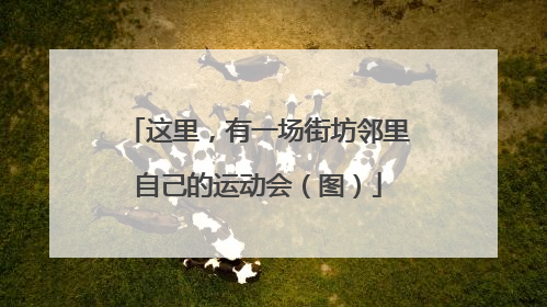 这里，有一场街坊邻里自己的运动会（图）