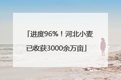进度96%！河北小麦已收获3000余万亩