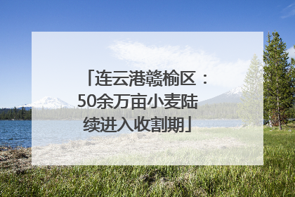 连云港赣榆区:50余万亩小麦陆续进入收割期