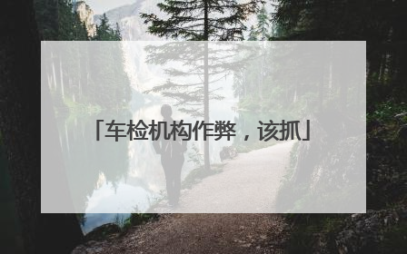 车检机构作弊，该抓