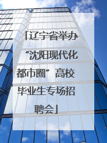 辽宁省举办“沈阳现代化都市圈”高校毕业生专场招聘会
