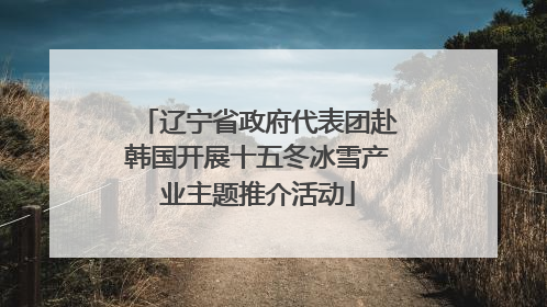 辽宁省政府代表团赴韩国开展十五冬冰雪产业主题推介活动