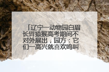 辽宁一动物园白眉长臂猿猴高考期间不对外展出，园方：它们一高兴就喜欢鸣叫，怕影响考试