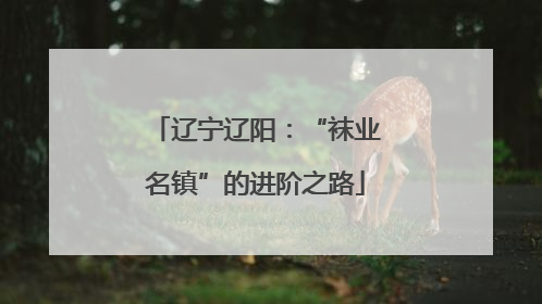 辽宁辽阳：“袜业名镇”的进阶之路