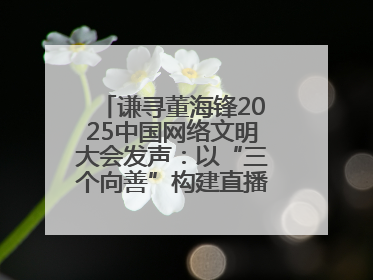 谦寻董海锋2025中国网络文明大会发声：以“三个向善”构建直播电商善意长河