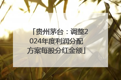 贵州茅台：调整2024年度利润分配方案每股分红金额