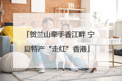 贺兰山牵手香江畔 宁夏特产“走红”香港