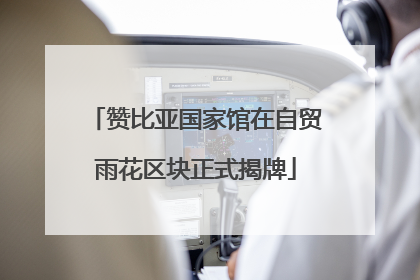 赞比亚国家馆在自贸雨花区块正式揭牌