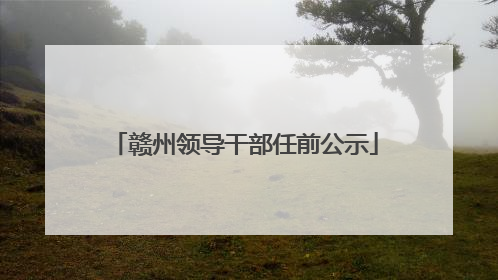 赣州领导干部任前公示