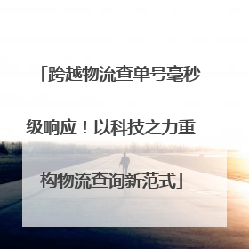 跨越物流查单号毫秒级响应！以科技之力重构物流查询新范式