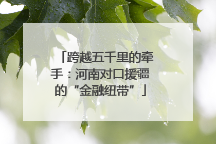 跨越五千里的牵手：河南对口援疆的“金融纽带”