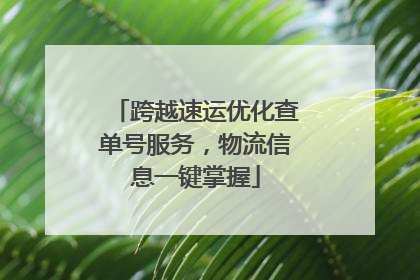 跨越速运优化查单号服务，物流信息一键掌握