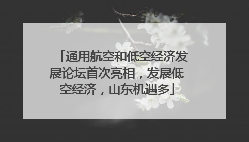 通用航空和低空经济发展论坛首次亮相，发展低空经济，山东机遇多