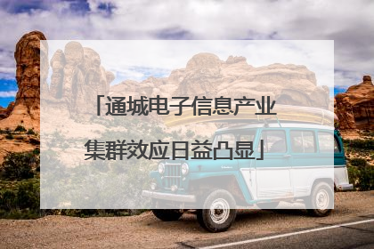 通城电子信息产业集群效应日益凸显