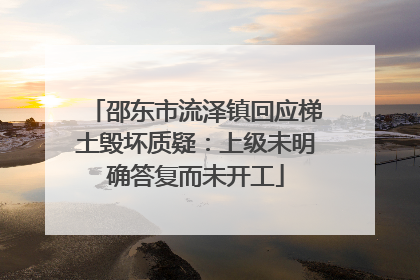 邵东市流泽镇回应梯土毁坏质疑：上级未明确答复而未开工