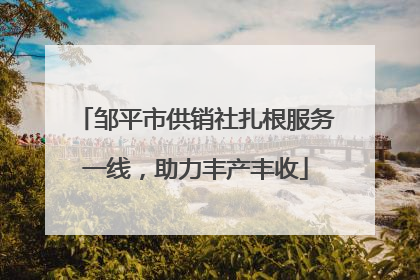 邹平市供销社扎根服务一线，助力丰产丰收