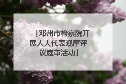邓州市检察院开展人大代表观摩评议庭审活动