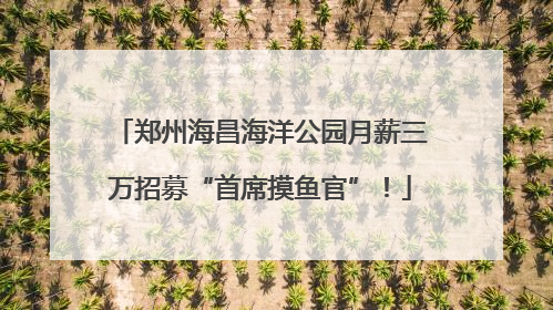 郑州海昌海洋公园月薪三万招募“首席摸鱼官”！