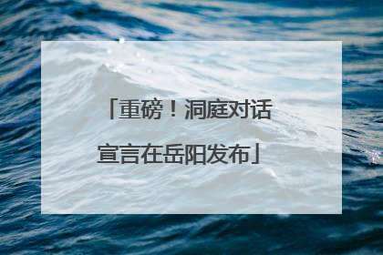 重磅！洞庭对话宣言在岳阳发布