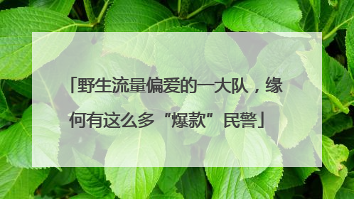 野生流量偏爱的一大队，缘何有这么多“爆款”民警