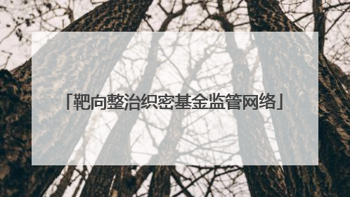 靶向整治织密基金监管网络