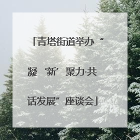 青塔街道举办“凝‘新’聚力·共话发展”座谈会