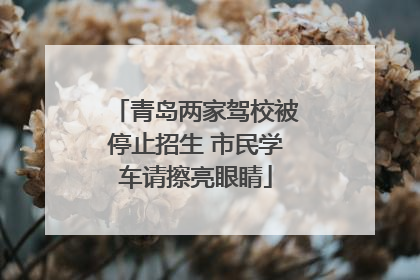 青岛两家驾校被停止招生 市民学车请擦亮眼睛