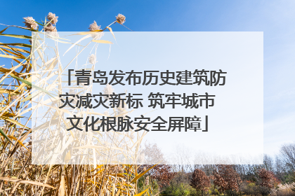 青岛发布历史建筑防灾减灾新标 筑牢城市文化根脉安全屏障