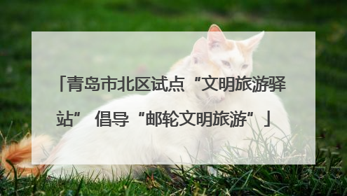 青岛市北区试点“文明旅游驿站” 倡导“邮轮文明旅游”