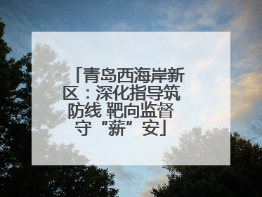 青岛西海岸新区：深化指导筑防线 靶向监督守“薪”安