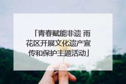 青春赋能非遗 雨花区开展文化遗产宣传和保护主题活动