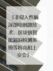 非侵入性脑深部电刺激技术、区块链智能漏洞检测系统等将亮相上交会
