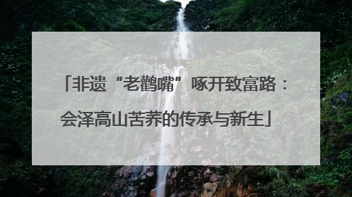 非遗“老鹳嘴”啄开致富路：会泽高山苦荞的传承与新生