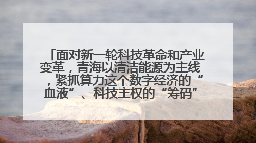 面对新一轮科技革命和产业变革，青海以清洁能源为主线，紧抓算力这个数字经济的“血液”、科技主权的“筹码”、产业升级的“杠杆”、绿色转型的“支点”，勇于撬动国家“双碳”战略、“东数西算”工程重大发展新机遇