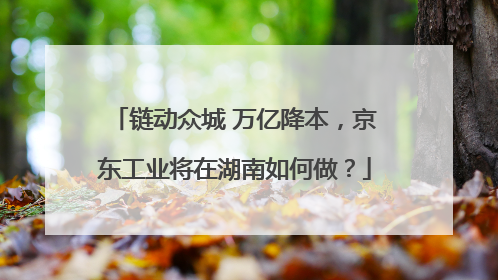 链动众城 万亿降本，京东工业将在湖南如何做？