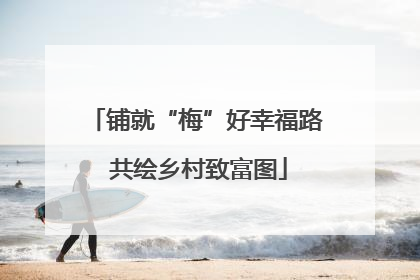 铺就“梅”好幸福路 共绘乡村致富图