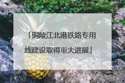 铜陵江北港铁路专用线建设取得重大进展