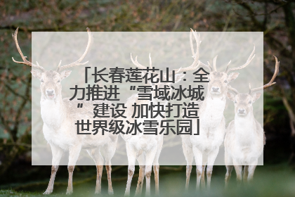 长春莲花山：全力推进“雪域冰城”建设 加快打造世界级冰雪乐园