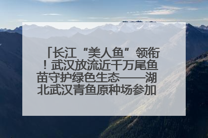 长江“美人鱼”领衔！武汉放流近千万尾鱼苗守护绿色生态——湖北武汉青鱼原种场参加2025年“全国放鱼日”增殖放流活动