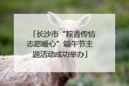 长沙市“粽香传情志愿暖心”端午节主题活动成功举办