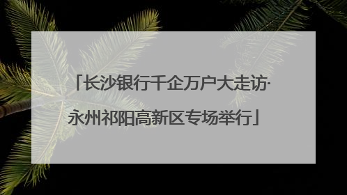 长沙银行千企万户大走访·永州祁阳高新区专场举行