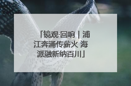 镜观·回响｜浦江奔涌传薪火 海派融新纳百川