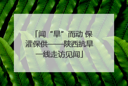 闻“旱”而动 保灌保供——陕西抗旱一线走访见闻
