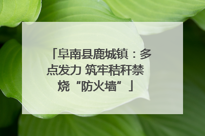 阜南县鹿城镇：多点发力 筑牢秸秆禁烧“防火墙”