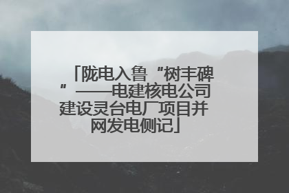 陇电入鲁“树丰碑”——电建核电公司建设灵台电厂项目并网发电侧记