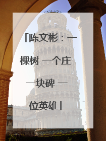 陈文彬：一棵树 一个庄 一块碑 一位英雄