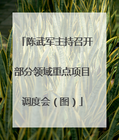 陈武军主持召开部分领域重点项目调度会（图）