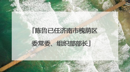 陈鲁已任济南市槐荫区委常委、组织部部长